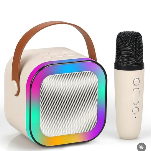 Karaoke Speaker